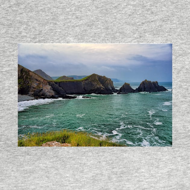 Screda Cove, Hartland Quay, Devon by avrilharris